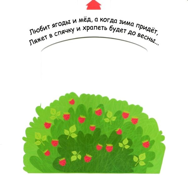 УЦІНКА веселые картинки кто живет в лесу картонка Ціна (цена) 300.00грн. | придбати  купити (купить) УЦІНКА веселые картинки кто живет в лесу картонка доставка по Украине, купить книгу, детские игрушки, компакт диски 2