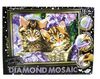 алмазний живопис Diamond mosaic DM-03-01 кошенята Ціна (цена) 313.17грн. | придбати  купити (купить) алмазний живопис Diamond mosaic DM-03-01 кошенята доставка по Украине, купить книгу, детские игрушки, компакт диски 1