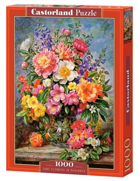 пазли castorland 1000 елементів june flowers in radiance 103904 Ціна (цена) 228.00грн. | придбати  купити (купить) пазли castorland 1000 елементів june flowers in radiance 103904 доставка по Украине, купить книгу, детские игрушки, компакт диски 1