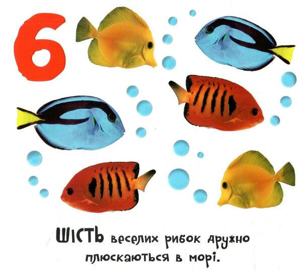 картонка доторкнися і відчуй 1 2 3 Ціна (цена) 369.77грн. | придбати  купити (купить) картонка доторкнися і відчуй 1 2 3 доставка по Украине, купить книгу, детские игрушки, компакт диски 2