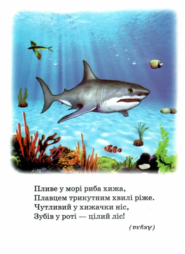 Морські мешканці книжка картонка а5 Ціна (цена) 22.60грн. | придбати  купити (купить) Морські мешканці книжка картонка а5 доставка по Украине, купить книгу, детские игрушки, компакт диски 1