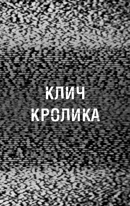 Жахастики Фазбера Клич кролика книга 5 Ціна (цена) 263.00грн. | придбати  купити (купить) Жахастики Фазбера Клич кролика книга 5 доставка по Украине, купить книгу, детские игрушки, компакт диски 2