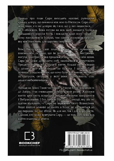 Плоть і вогонь Книга 2 Світло у пломені Ціна (цена) 313.00грн. | придбати  купити (купить) Плоть і вогонь Книга 2 Світло у пломені доставка по Украине, купить книгу, детские игрушки, компакт диски 4