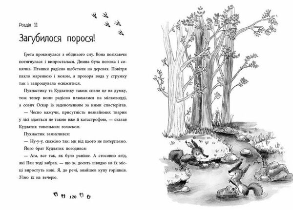 Ліс незвичайних тварин Ціна (цена) 205.51грн. | придбати  купити (купить) Ліс незвичайних тварин доставка по Украине, купить книгу, детские игрушки, компакт диски 1