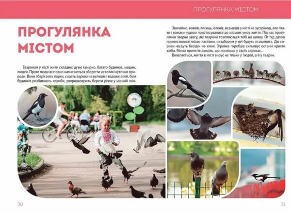 найкращий подарунок велика книга про тварин Ціна (цена) 350.50грн. | придбати  купити (купить) найкращий подарунок велика книга про тварин доставка по Украине, купить книгу, детские игрушки, компакт диски 5