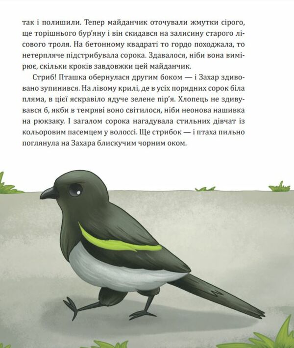 Майстерня чаклуна Мурахи повість-казка Ціна (цена) 316.70грн. | придбати  купити (купить) Майстерня чаклуна Мурахи повість-казка доставка по Украине, купить книгу, детские игрушки, компакт диски 4