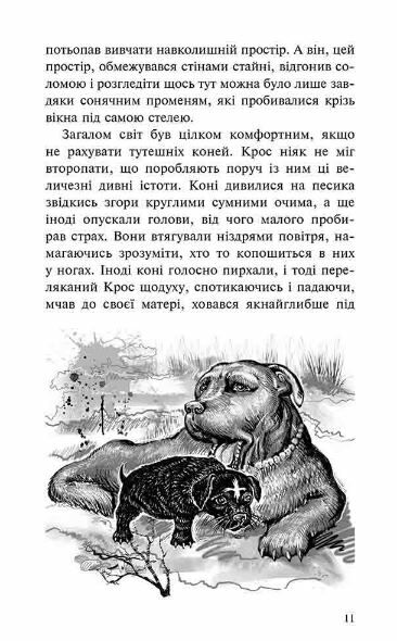 Пригоди містера Кроса Неймовірна подорож собаки-мандрівника Ціна (цена) 223.90грн. | придбати  купити (купить) Пригоди містера Кроса Неймовірна подорож собаки-мандрівника доставка по Украине, купить книгу, детские игрушки, компакт диски 7