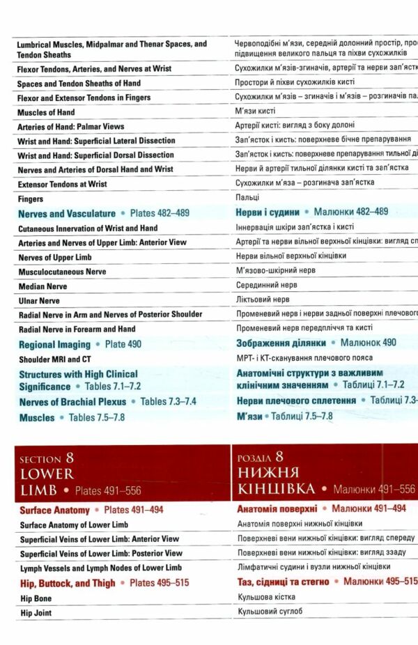 Атлас анатомії людини за Неттером класичний ділянковий підхід 8-е видання дві мови Ціна (цена) 2 332.10грн. | придбати  купити (купить) Атлас анатомії людини за Неттером класичний ділянковий підхід 8-е видання дві мови доставка по Украине, купить книгу, детские игрушки, компакт диски 17