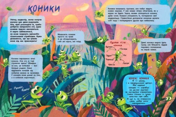 Книжки для розумак Таємне життя комах Ціна (цена) 202.55грн. | придбати  купити (купить) Книжки для розумак Таємне життя комах доставка по Украине, купить книгу, детские игрушки, компакт диски 3