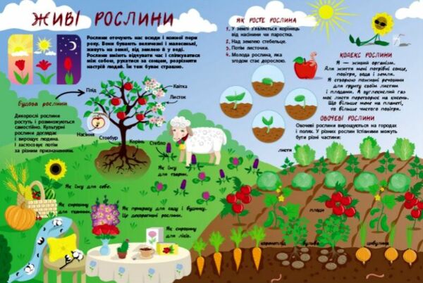 Книжки для розумак Таємне життя рослин Ціна (цена) 202.55грн. | придбати  купити (купить) Книжки для розумак Таємне життя рослин доставка по Украине, купить книгу, детские игрушки, компакт диски 4