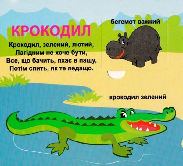 картонки Хто який 33 віконця формат в6 Ціна (цена) 100.30грн. | придбати  купити (купить) картонки Хто який 33 віконця формат в6 доставка по Украине, купить книгу, детские игрушки, компакт диски 3