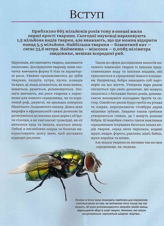 Велика книга тварин Ціна (цена) 304.20грн. | придбати  купити (купить) Велика книга тварин доставка по Украине, купить книгу, детские игрушки, компакт диски 2