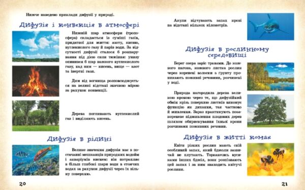 Фізичні явища навколо нас 7 - 8 клас Ціна (цена) 112.50грн. | придбати  купити (купить) Фізичні явища навколо нас 7 - 8 клас доставка по Украине, купить книгу, детские игрушки, компакт диски 5