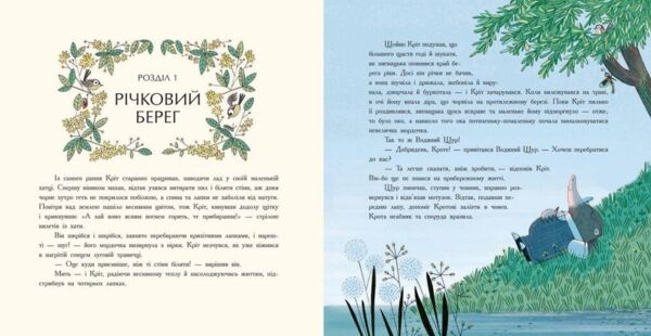 Вітер у вербах Кольорова класика Ціна (цена) 438.90грн. | придбати  купити (купить) Вітер у вербах Кольорова класика доставка по Украине, купить книгу, детские игрушки, компакт диски 2