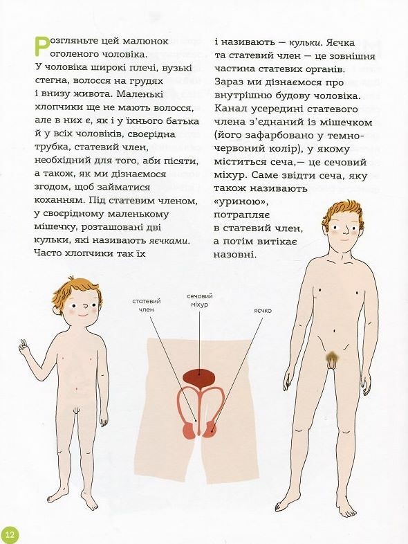 Енциклопедія статевого життя 7-9 років Ціна (цена) 222.75грн. | придбати  купити (купить) Енциклопедія статевого життя 7-9 років доставка по Украине, купить книгу, детские игрушки, компакт диски 6