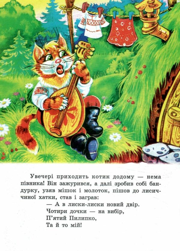 Котик і півник книжка картонка а5 Ціна (цена) 22.60грн. | придбати  купити (купить) Котик і півник книжка картонка а5 доставка по Украине, купить книгу, детские игрушки, компакт диски 3