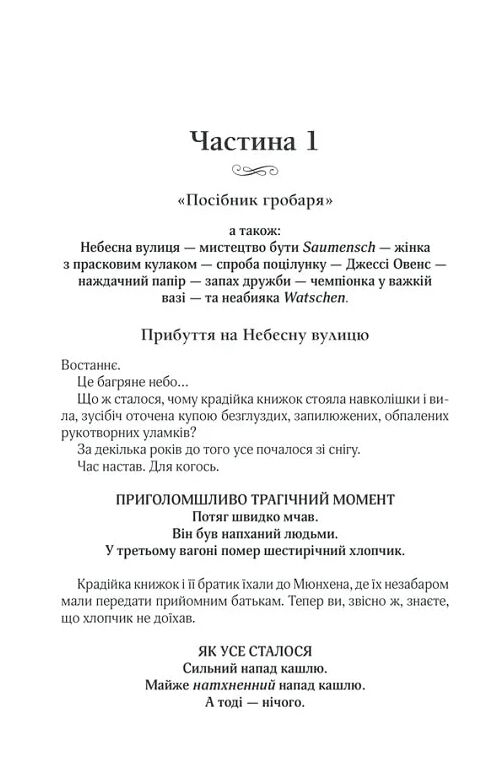 крадійка книжок Ціна (цена) 279.60грн. | придбати  купити (купить) крадійка книжок доставка по Украине, купить книгу, детские игрушки, компакт диски 6