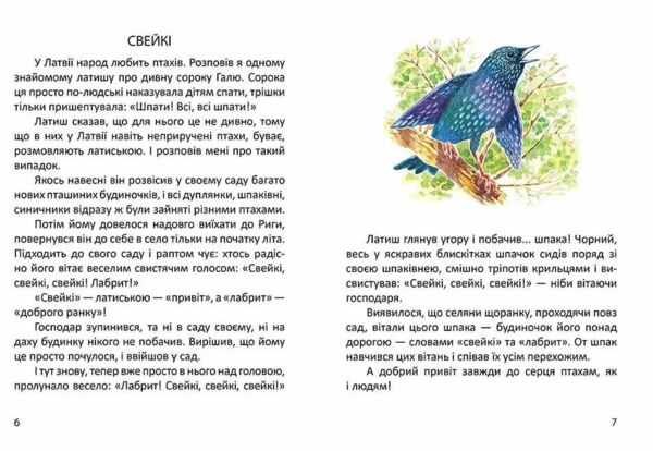 малятам про звірят книга    (серія завтра в школу) (формат А-5) Ціна (цена) 80.60грн. | придбати  купити (купить) малятам про звірят книга    (серія завтра в школу) (формат А-5) доставка по Украине, купить книгу, детские игрушки, компакт диски 3