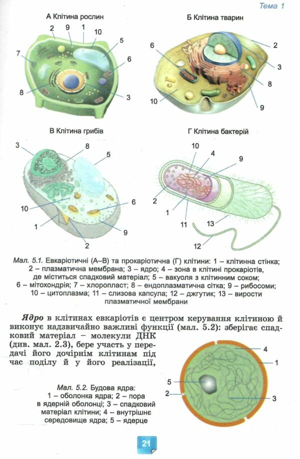 біологія 7 клас підручник нуш Ціна (цена) 351.60грн. | придбати  купити (купить) біологія 7 клас підручник нуш доставка по Украине, купить книгу, детские игрушки, компакт диски 7