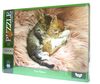 пазли 1000 елементів С1000-11-09 Cute Kittens Ціна (цена) 123.70грн. | придбати  купити (купить) пазли 1000 елементів С1000-11-09 Cute Kittens доставка по Украине, купить книгу, детские игрушки, компакт диски 1