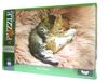 пазли 1000 елементів С1000-11-09 Cute Kittens Ціна (цена) 110.50грн. | придбати  купити (купить) пазли 1000 елементів С1000-11-09 Cute Kittens доставка по Украине, купить книгу, детские игрушки, компакт диски 0