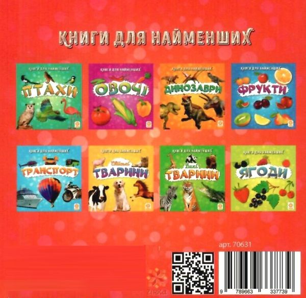 картонки комахи формат  А7 Ціна (цена) 14.90грн. | придбати  купити (купить) картонки комахи формат  А7 доставка по Украине, купить книгу, детские игрушки, компакт диски 4